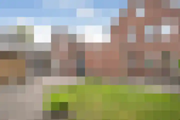 De Kosterij 20 Ruinerwold thumbnail 37