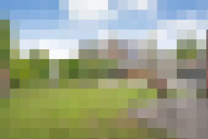 De Kosterij 20 Ruinerwold thumbnail 38