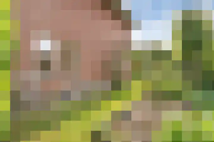 De Kosterij 20 Ruinerwold thumbnail 40