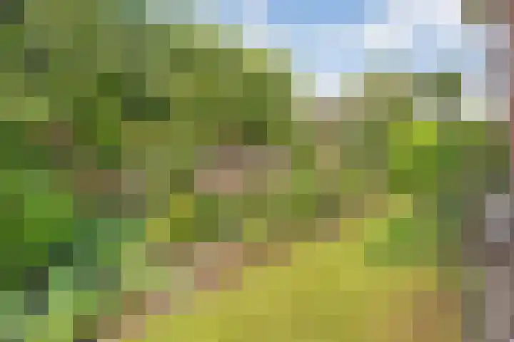 De Kosterij 20 Ruinerwold thumbnail 41
