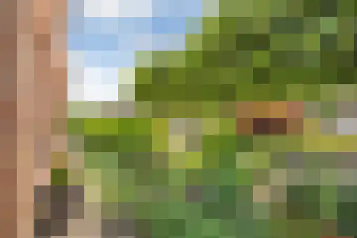De Kosterij 20 Ruinerwold thumbnail 42
