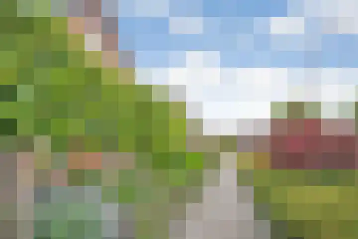 De Kosterij 20 Ruinerwold thumbnail 43