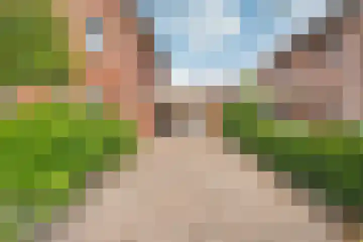 De Kosterij 20 Ruinerwold thumbnail 44