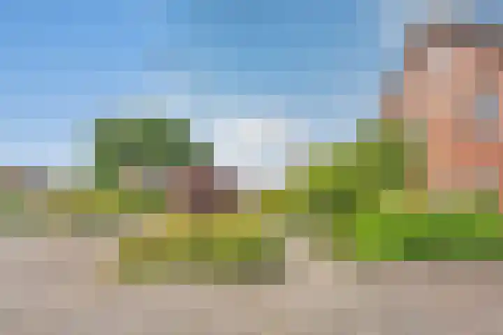 De Kosterij 20 Ruinerwold thumbnail 45
