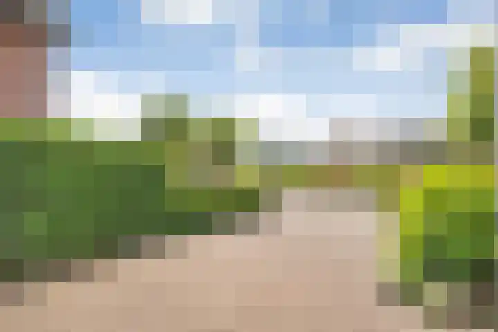 De Kosterij 20 Ruinerwold thumbnail 48