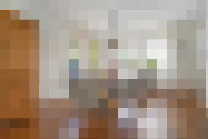 De Kosterij 20 Ruinerwold thumbnail 7