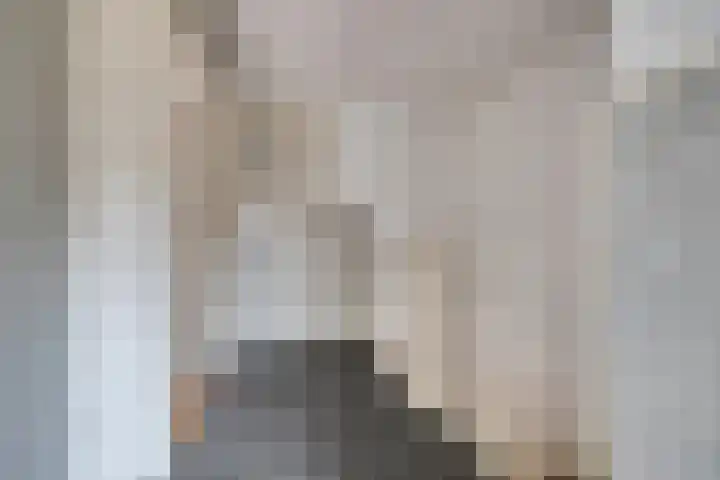 de Kosterijstraat 15 Bruchem thumbnail 11