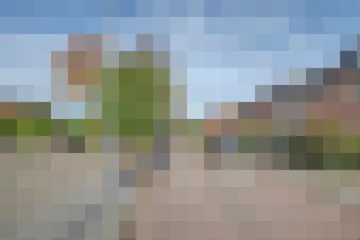 de Kosterijstraat 15 Bruchem thumbnail 30