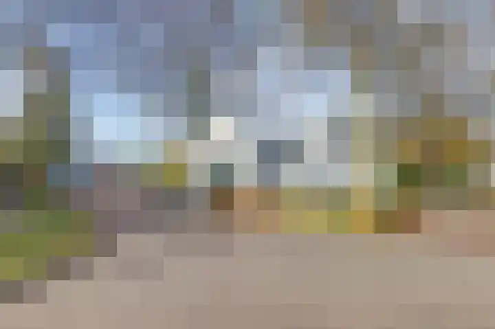 de Kosterijstraat 15 Bruchem thumbnail 32