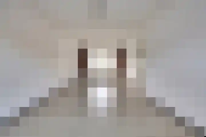 de Kosterijstraat 15 Bruchem thumbnail 4