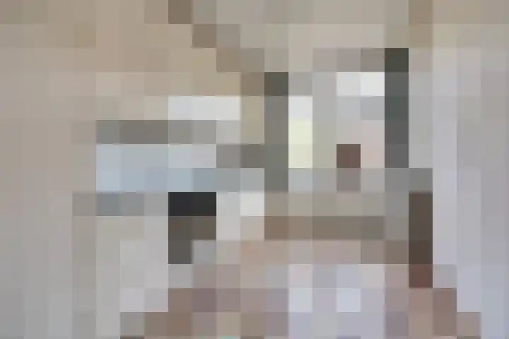 de Kosterijstraat 15 Bruchem thumbnail 7