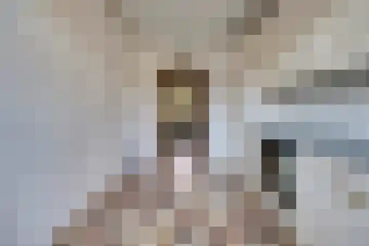 de Kosterijstraat 15 Bruchem thumbnail 9