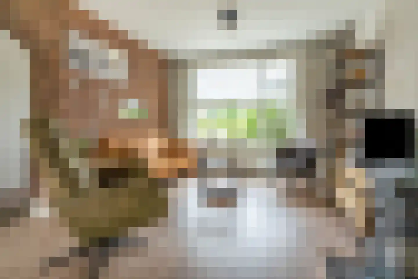de Kosterijstraat 19 Bruchem thumbnail 10
