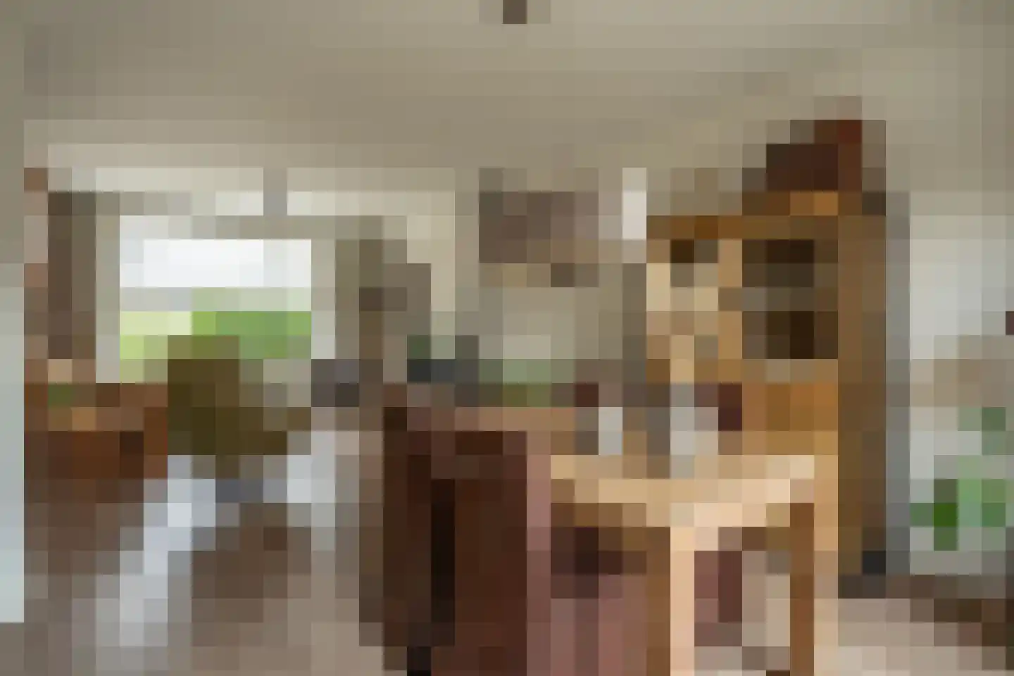 de Kosterijstraat 19 Bruchem thumbnail 14