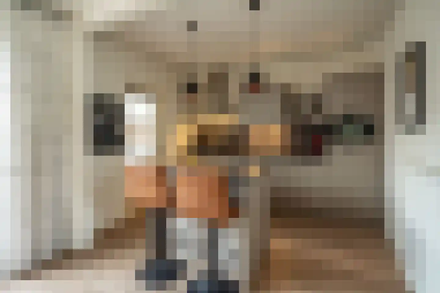 de Kosterijstraat 19 Bruchem thumbnail 15