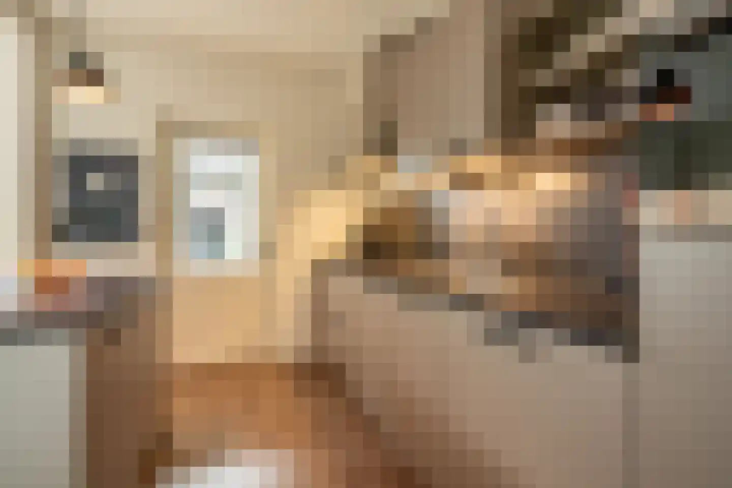de Kosterijstraat 19 Bruchem thumbnail 19