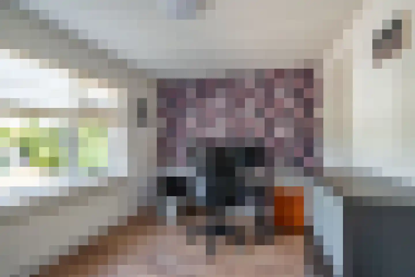 de Kosterijstraat 19 Bruchem thumbnail 34