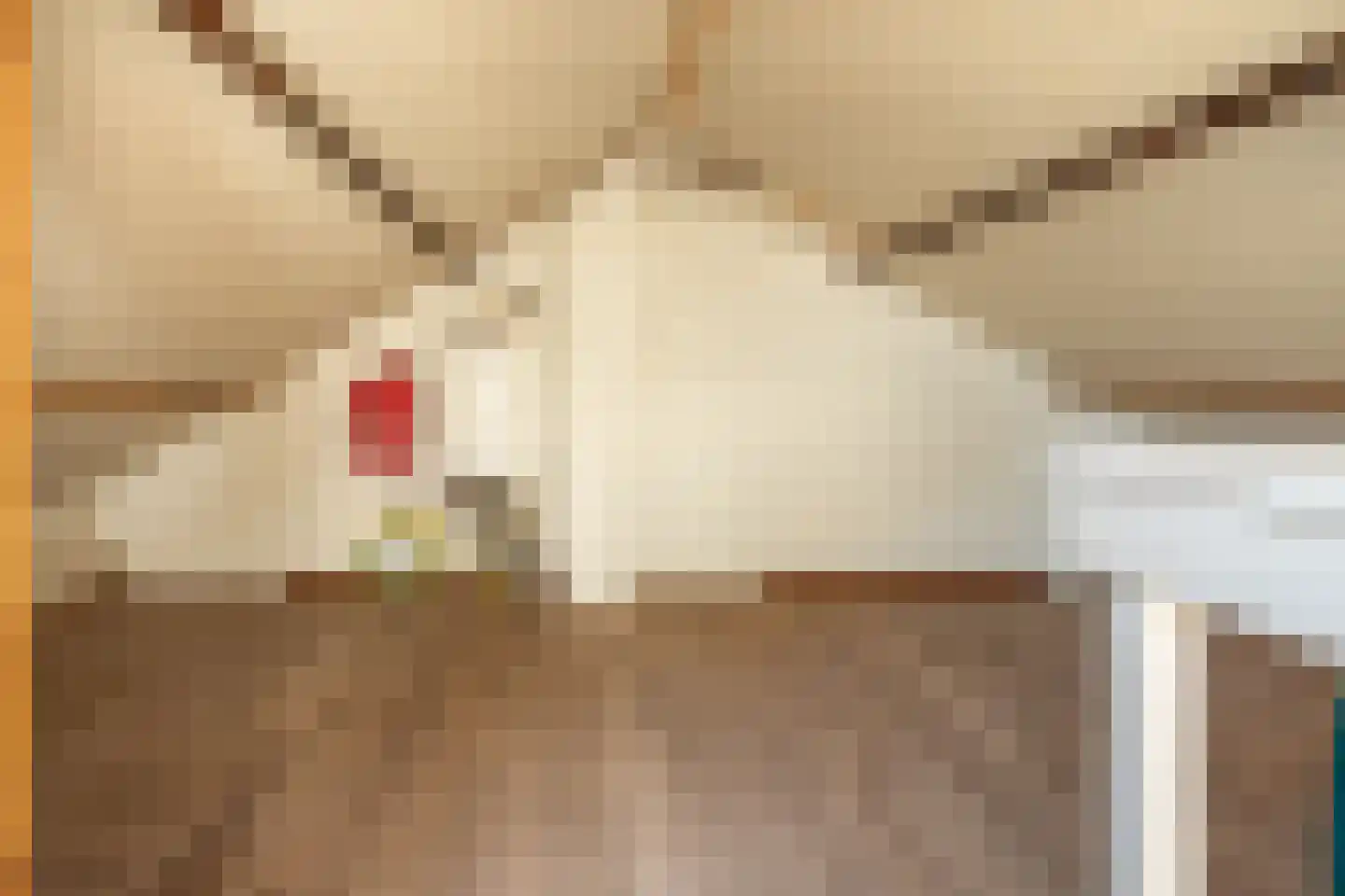 de Kosterijstraat 19 Bruchem thumbnail 39