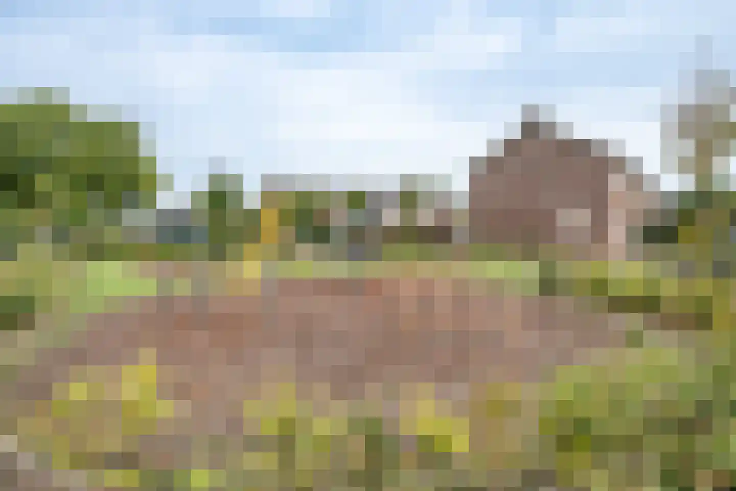 de Kosterijstraat 19 Bruchem thumbnail 44