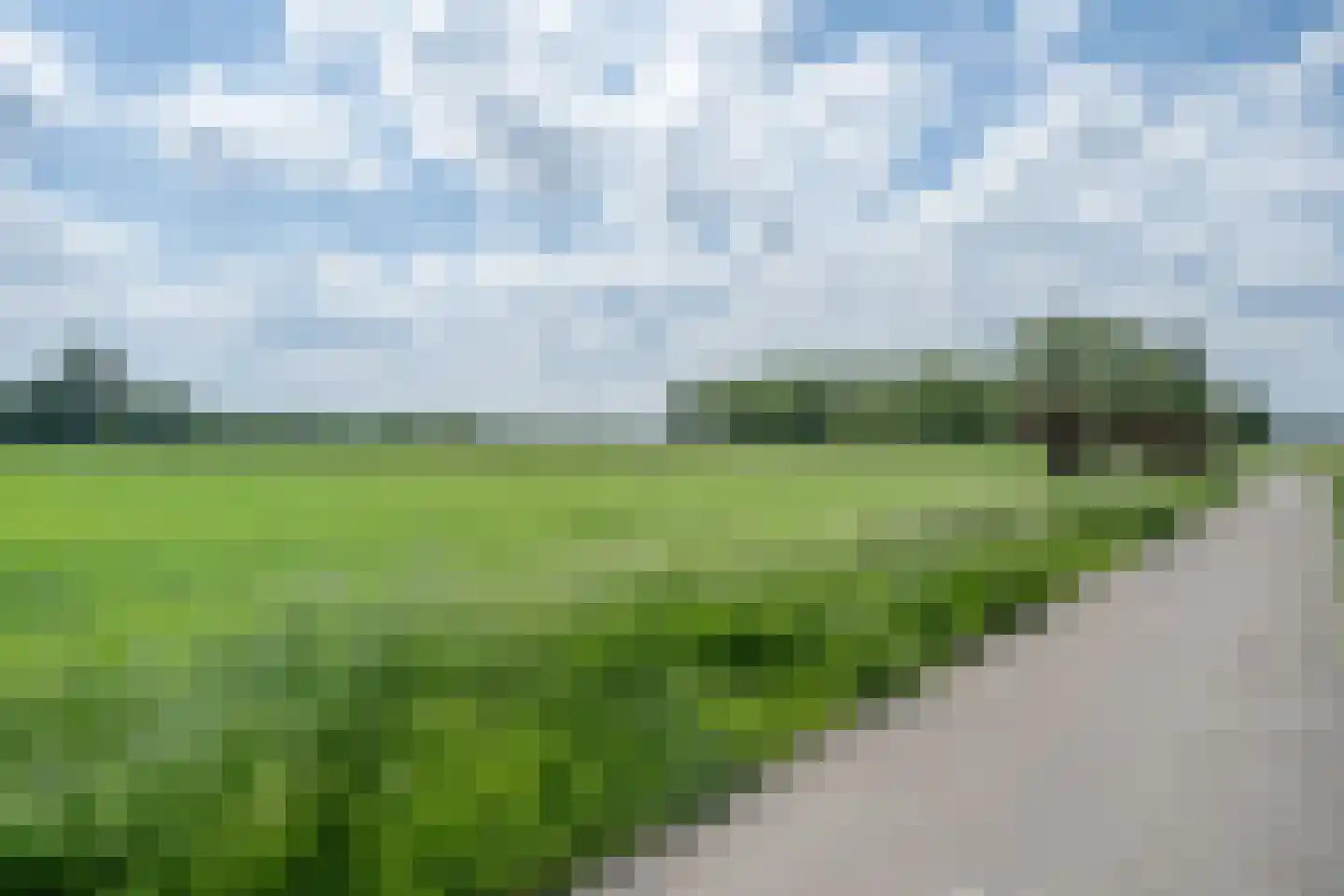 de Kosterijstraat 19 Bruchem thumbnail 47