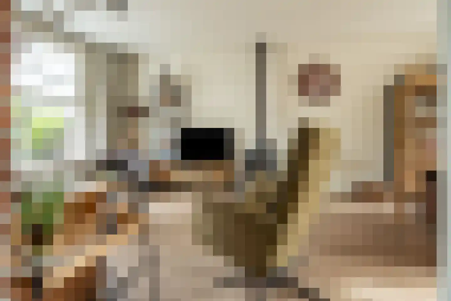 de Kosterijstraat 19 Bruchem thumbnail 9