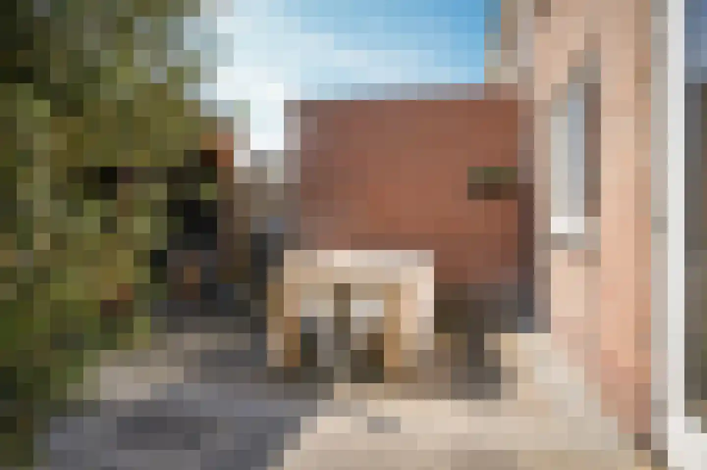 de Kosterijstraat 23 Bruchem thumbnail 34