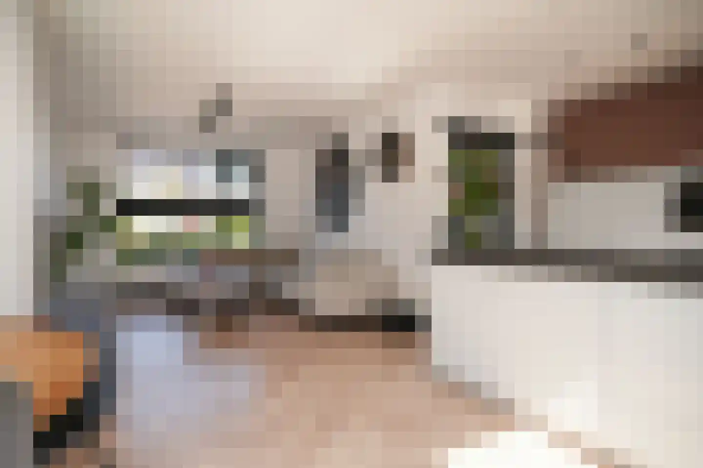 de Kosterijstraat 23 Bruchem thumbnail 5