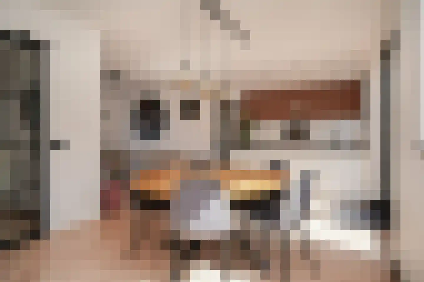 de Kosterijstraat 23 Bruchem thumbnail 6