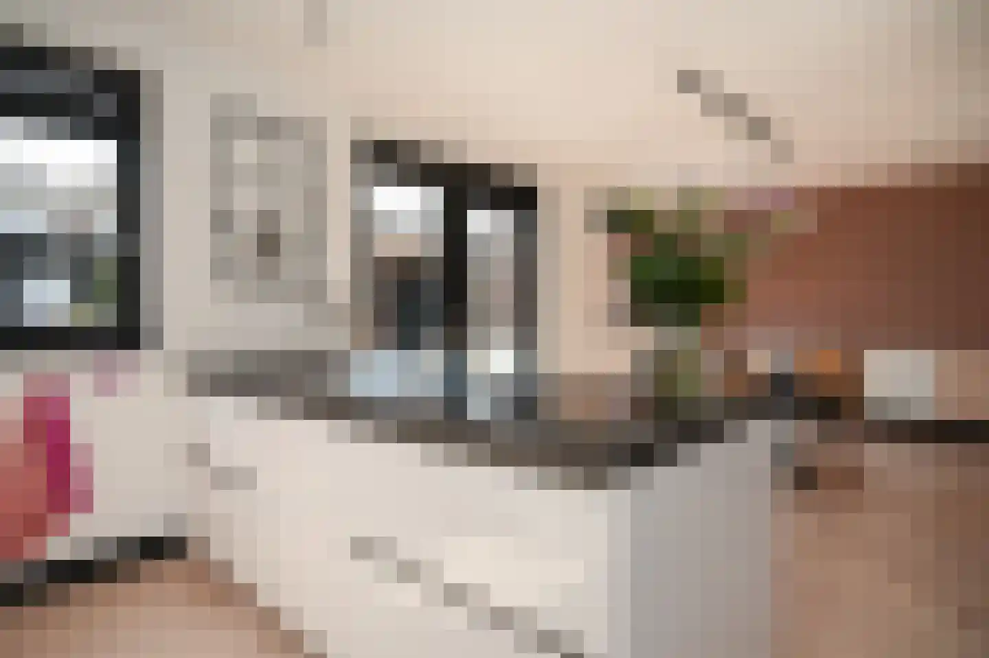 de Kosterijstraat 23 Bruchem thumbnail 7