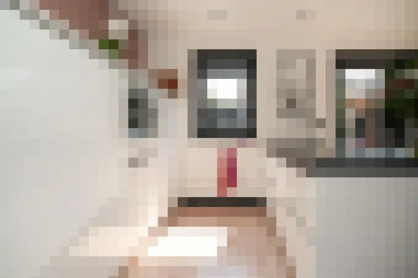 de Kosterijstraat 23 Bruchem thumbnail 8