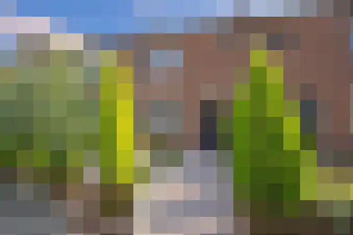 de Kosterijstraat 29 Bruchem thumbnail 12