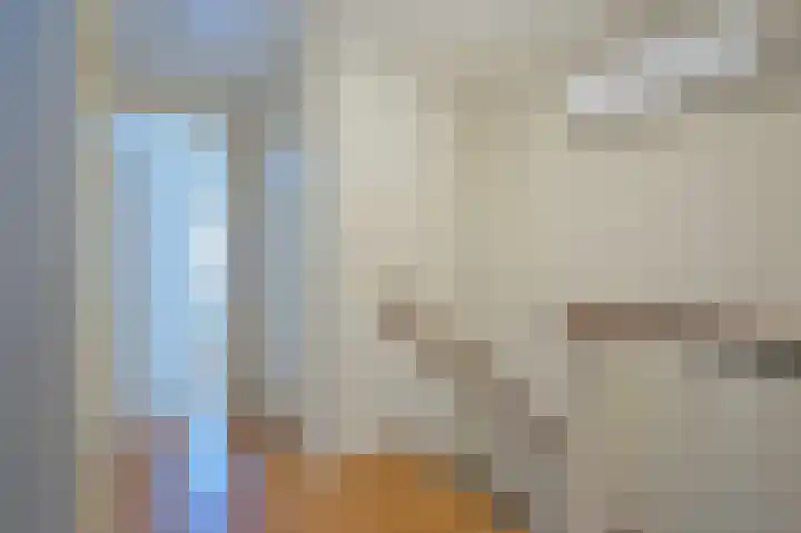 de Kosterijstraat 29 Bruchem thumbnail 33