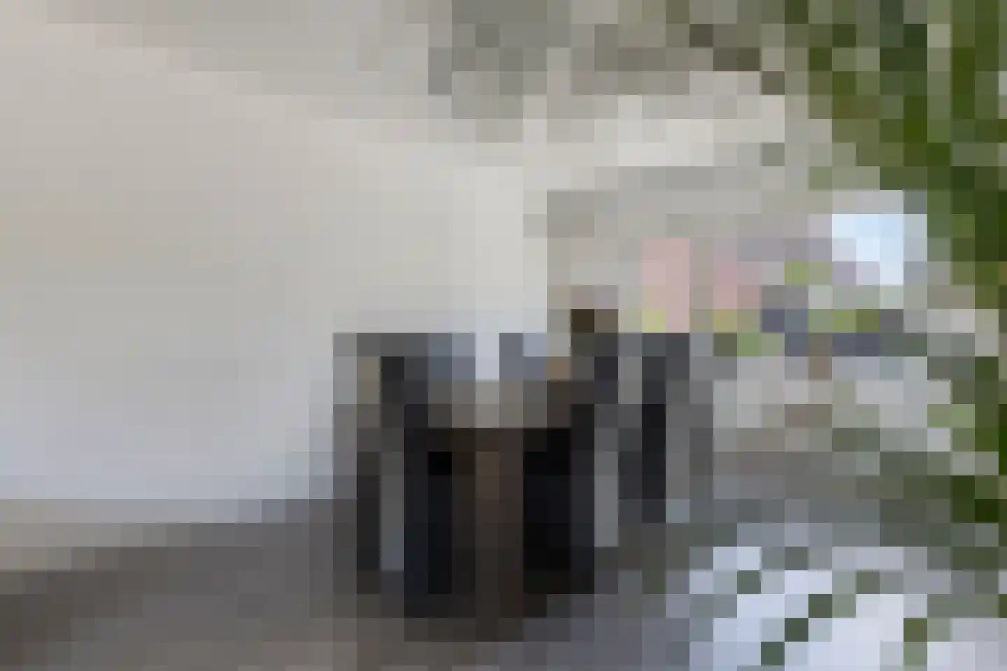 de Kosterijstraat 30 Bruchem thumbnail 10
