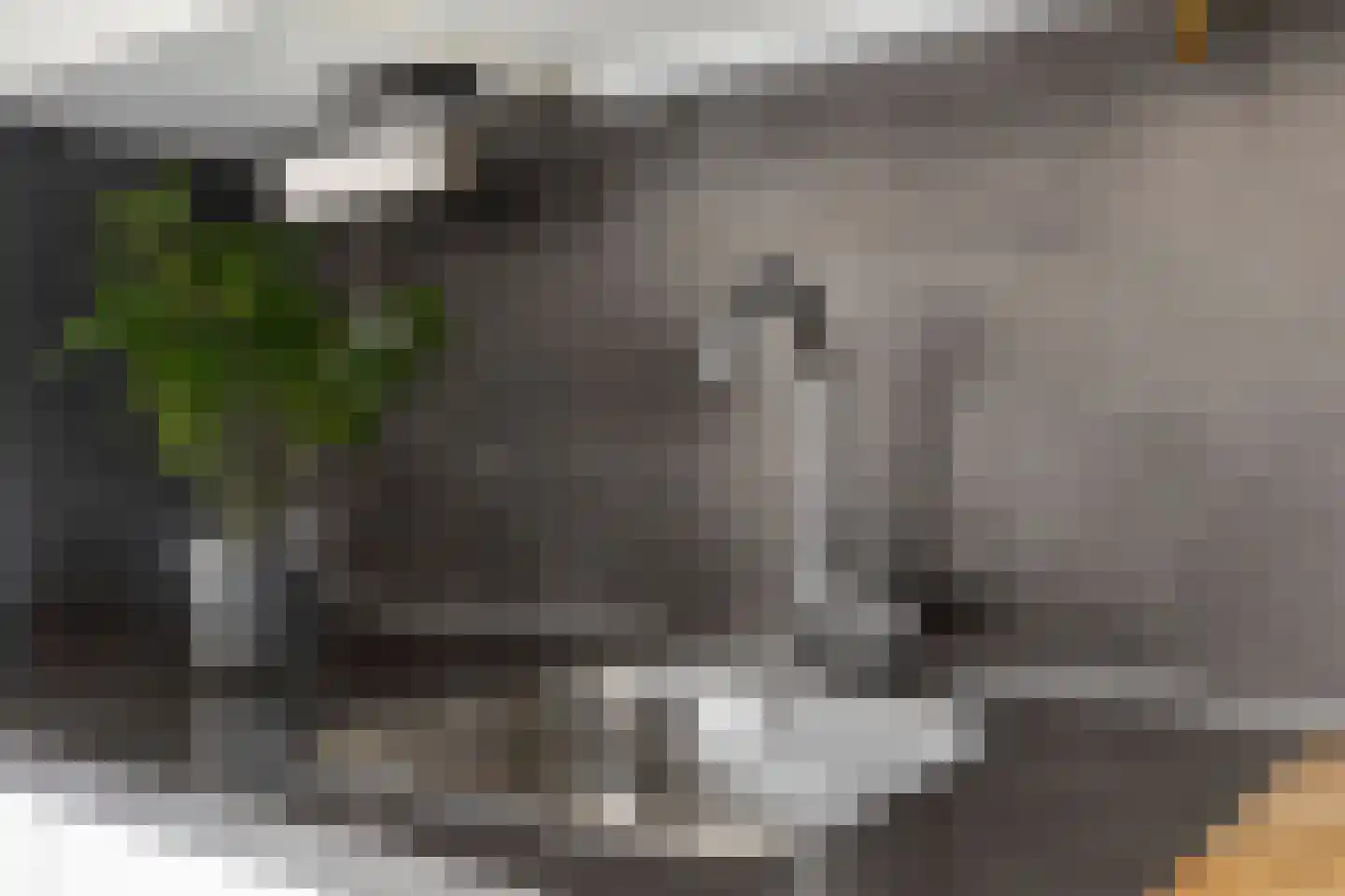 de Kosterijstraat 30 Bruchem thumbnail 15
