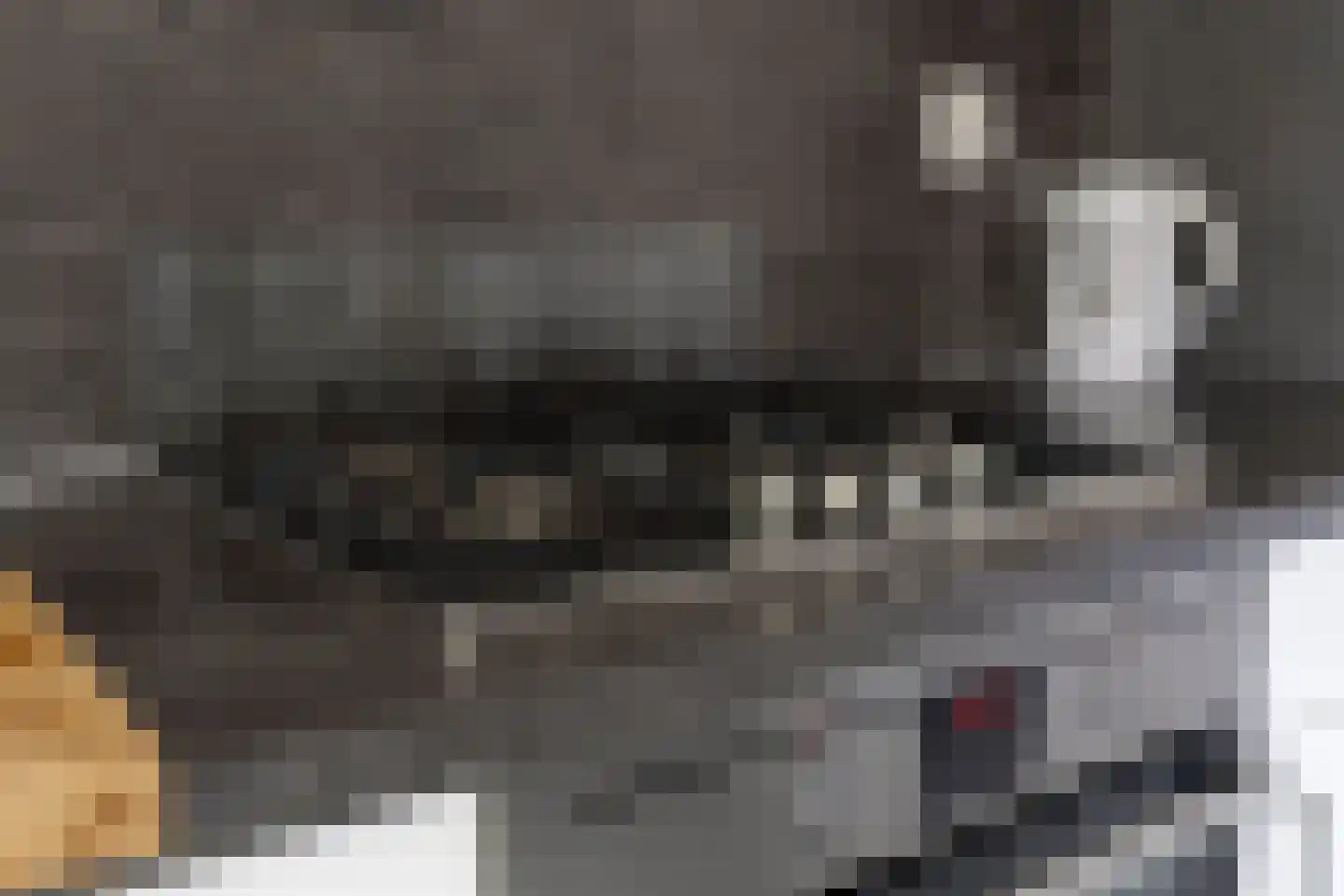 de Kosterijstraat 30 Bruchem thumbnail 16