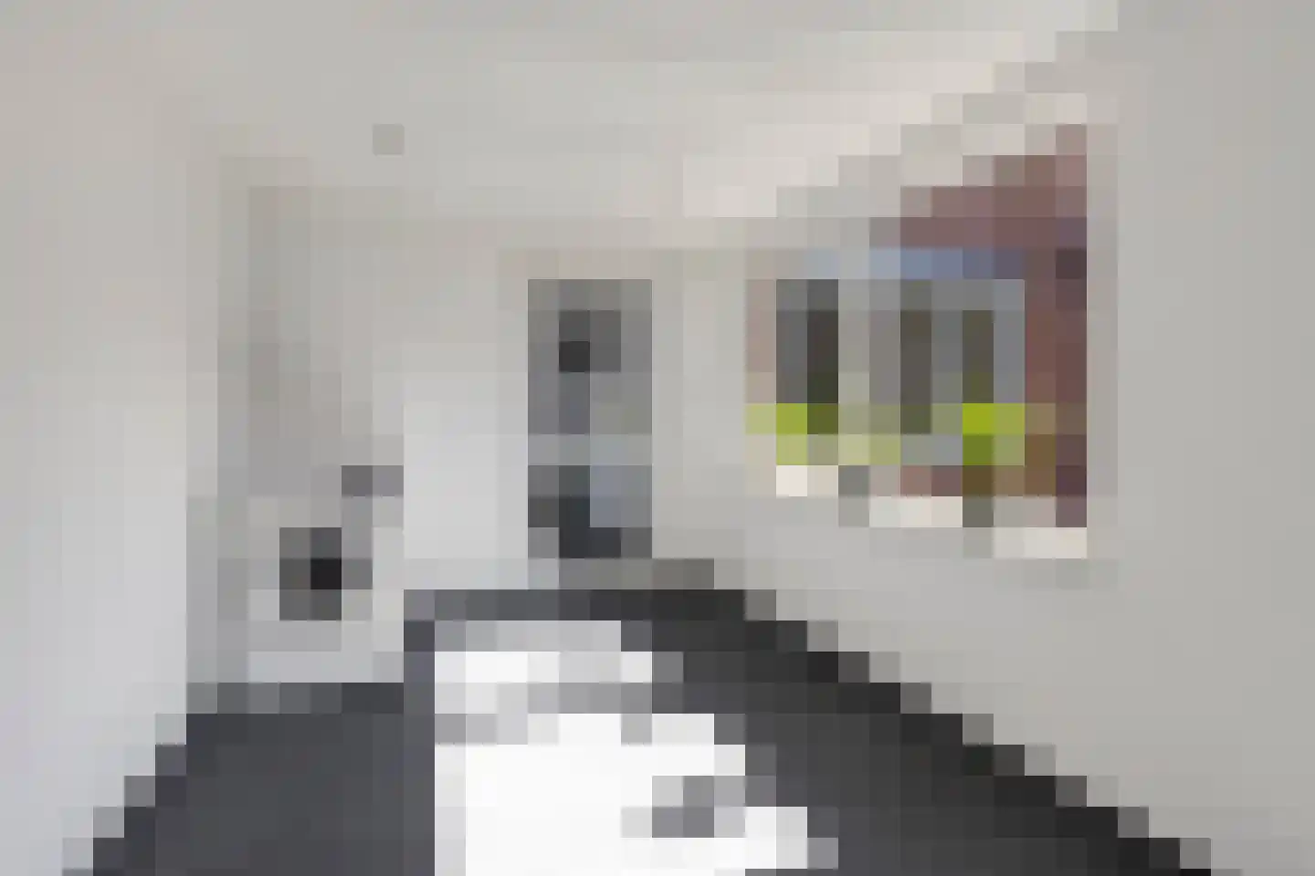 de Kosterijstraat 30 Bruchem thumbnail 18