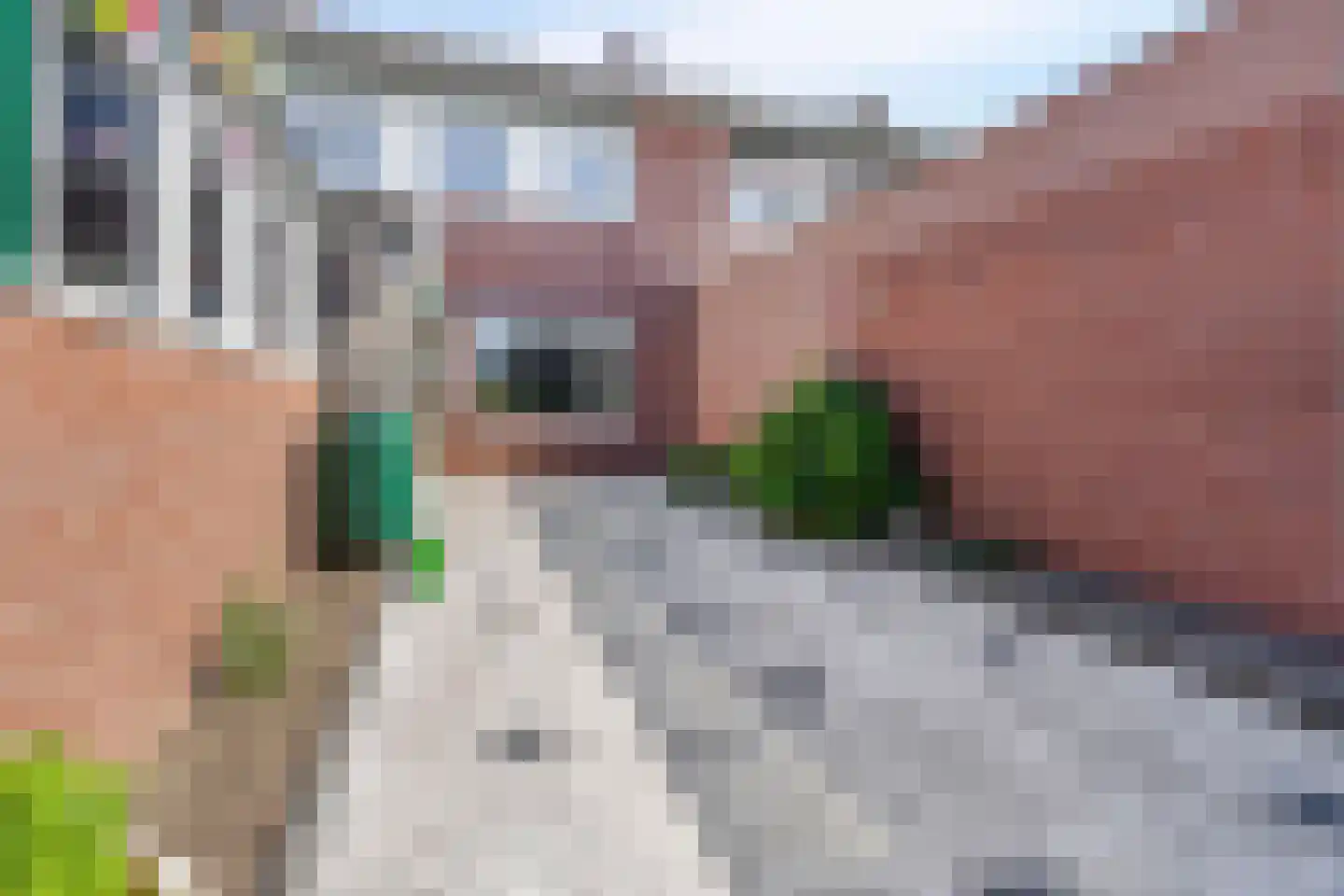 de Kosterijstraat 30 Bruchem thumbnail 34