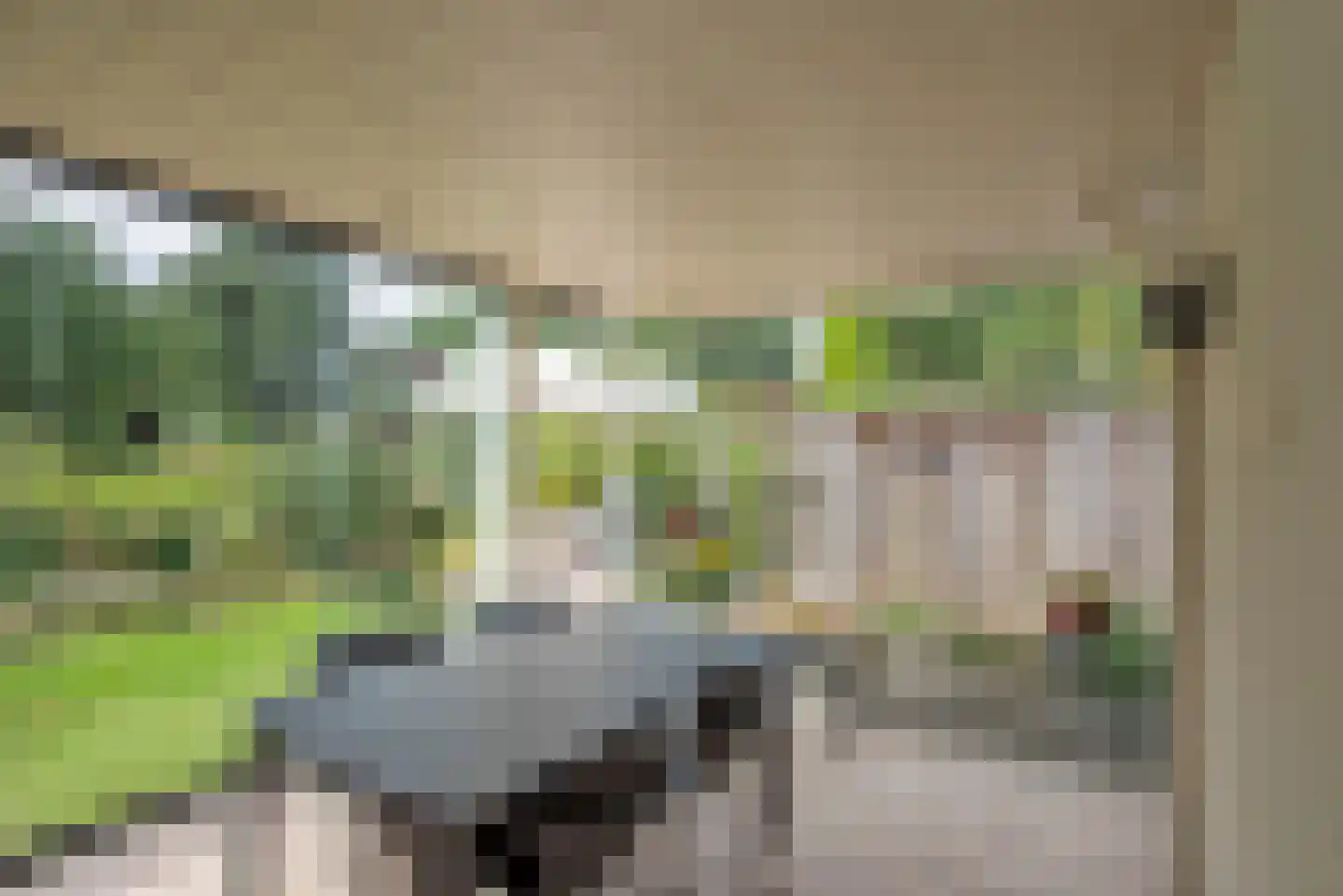 De Kosterskamp 22 Delden thumbnail 27