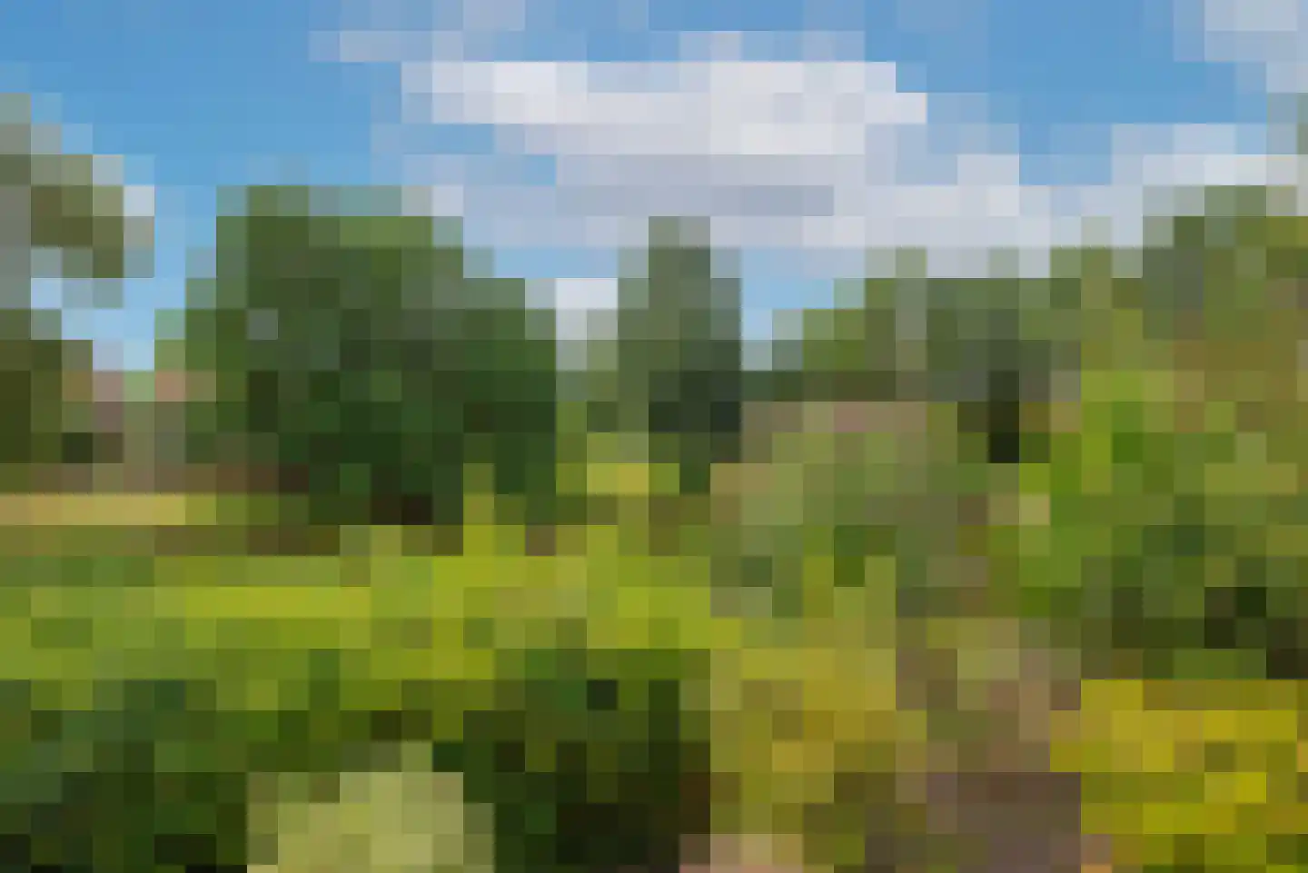 De Kosterskamp 22 Delden thumbnail 33