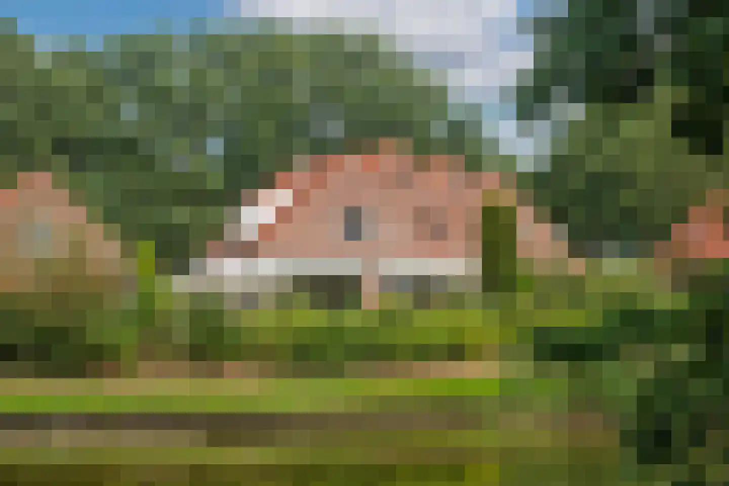 De Kosterskamp 22 Delden thumbnail 34