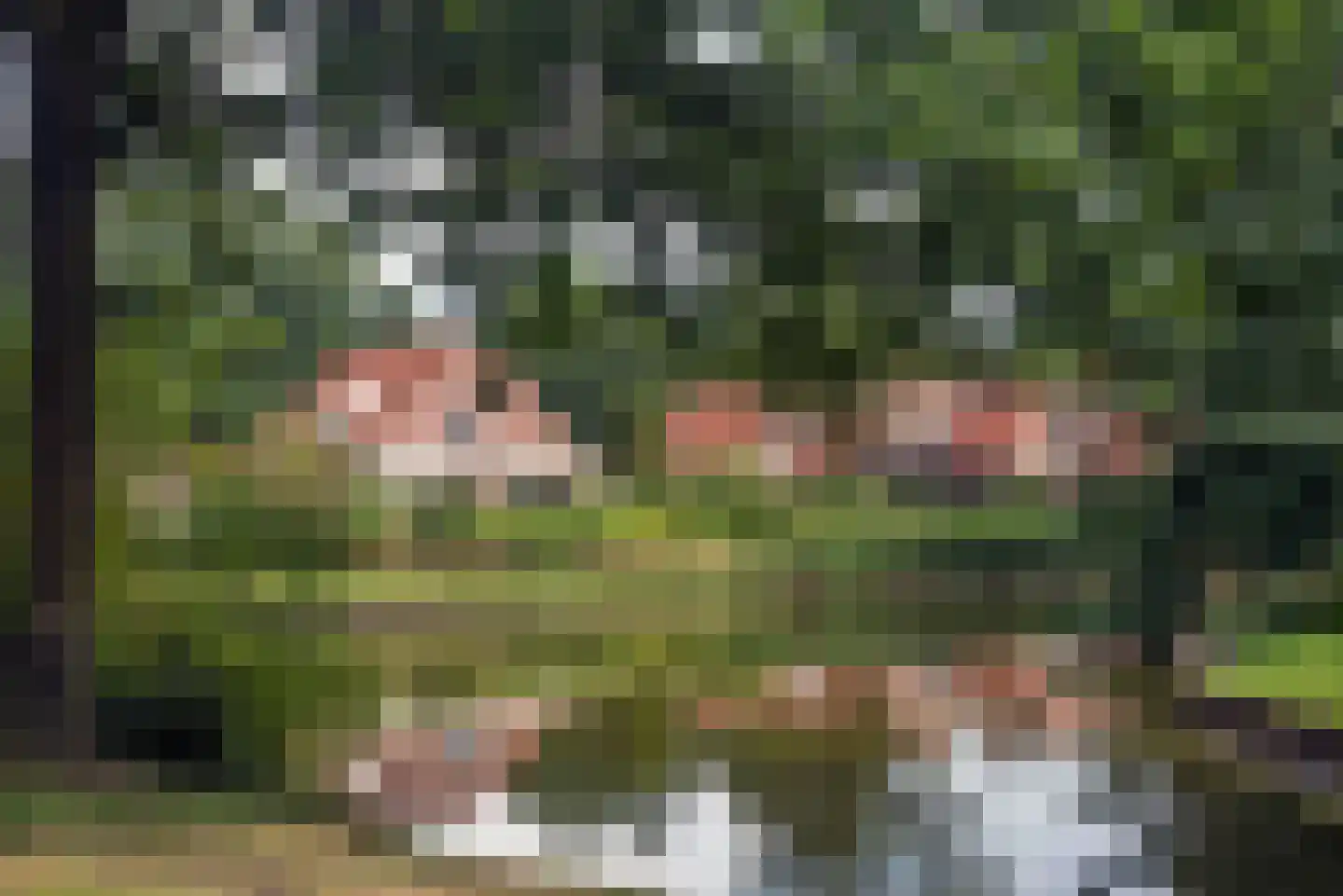 De Kosterskamp 22 Delden thumbnail 35