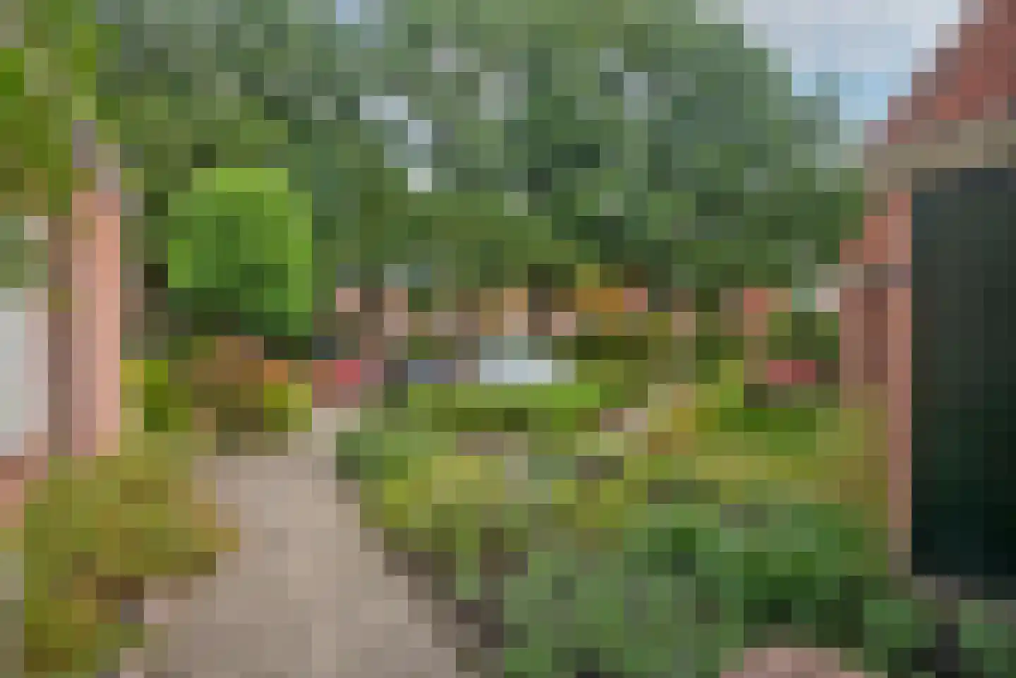 De Kosterskamp 22 Delden thumbnail 37