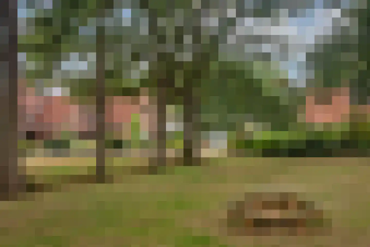 De Kosterskamp 22 Delden thumbnail 38