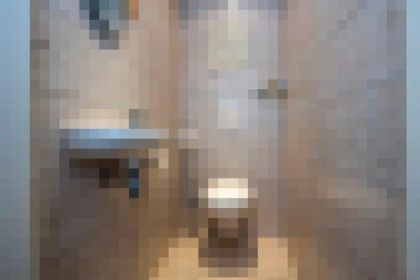 De Kosterskamp 22 Delden thumbnail 9