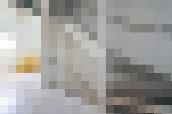 De Kraak 15 Putten thumbnail 17