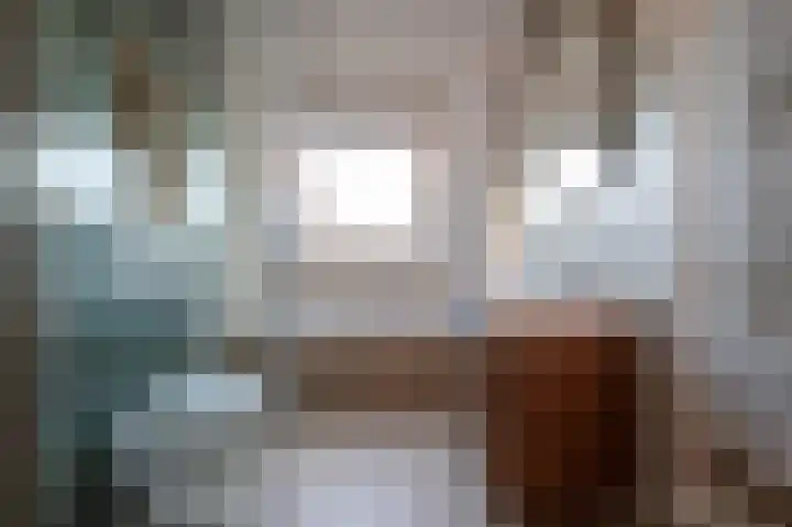 De Kraak 15 Putten thumbnail 25