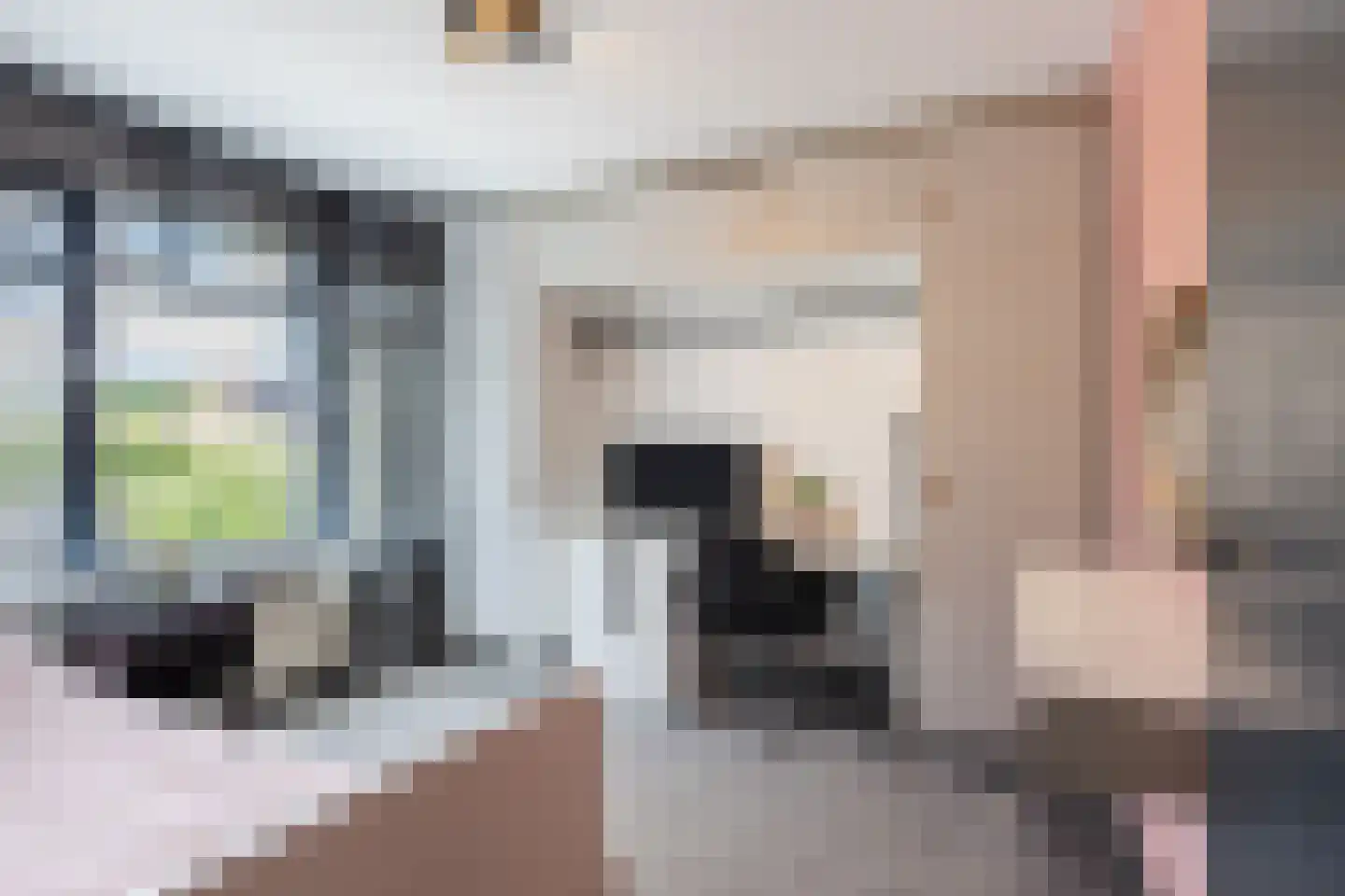 De Kraan 1 b Berkel-Enschot thumbnail 16
