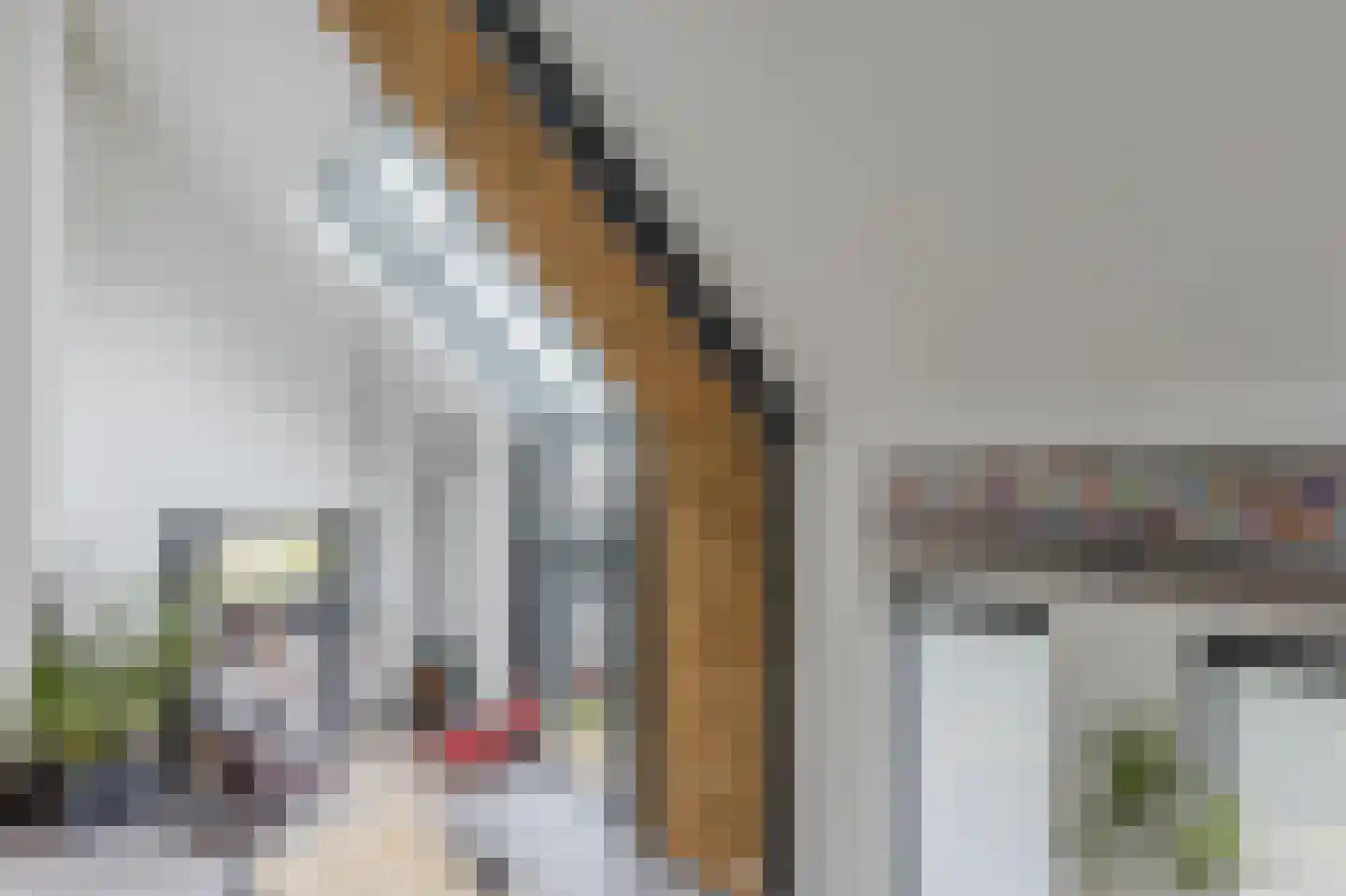 De Kraan 120 Berkel-Enschot thumbnail 6