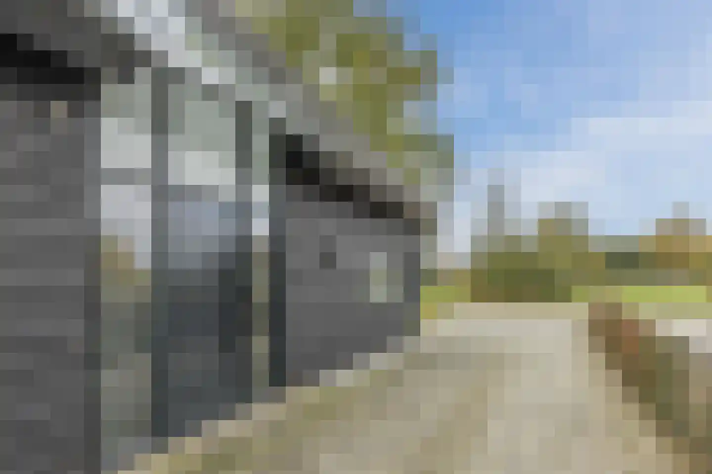 De Kraan 120 Berkel-Enschot thumbnail 8