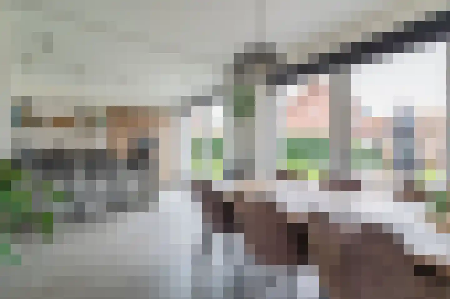 De Kraan 32 Berkel-Enschot thumbnail 7